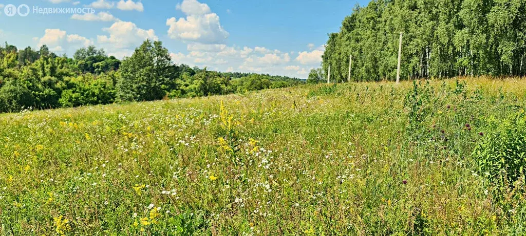 Участок в Курск, проспект Анатолия Дериглазова (10 м) - Фото 0