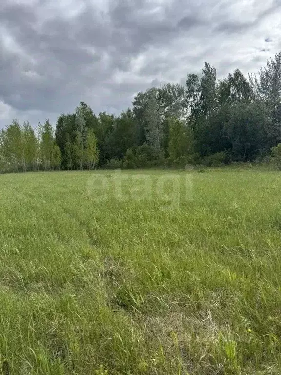 Участок в Новосибирская область, Новосибирск  (10.0 сот.) - Фото 1