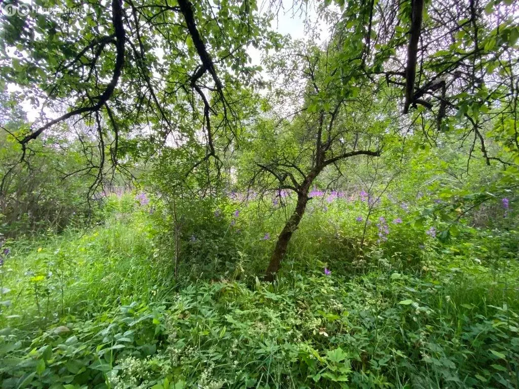 Дом в Сергиево-Посадский городской округ, СНТ Отдых, Лесная улица, 10 ... - Фото 0