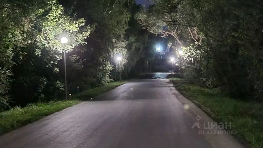 Участок в Московская область, Домодедово городской округ, д. Минаево, ... - Фото 1