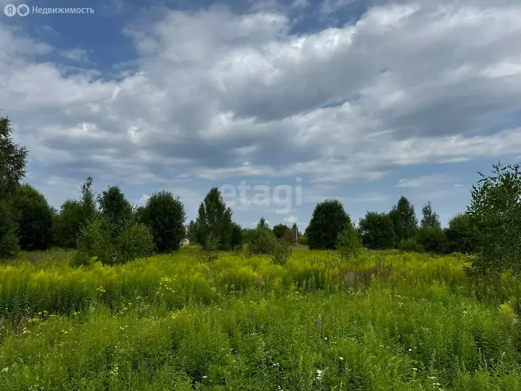 Участок в Нижегородская область, Городецкий муниципальный округ, ... - Фото 0