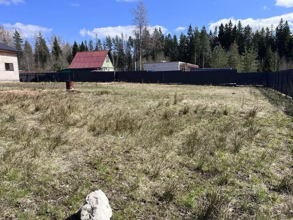 Участок в Ленинградская область, Выборгский район, Первомайское с/пос, ... - Фото 2