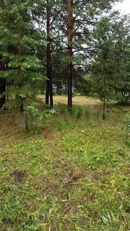 Участок 12,2 сот. (ИЖС) - Фото 0