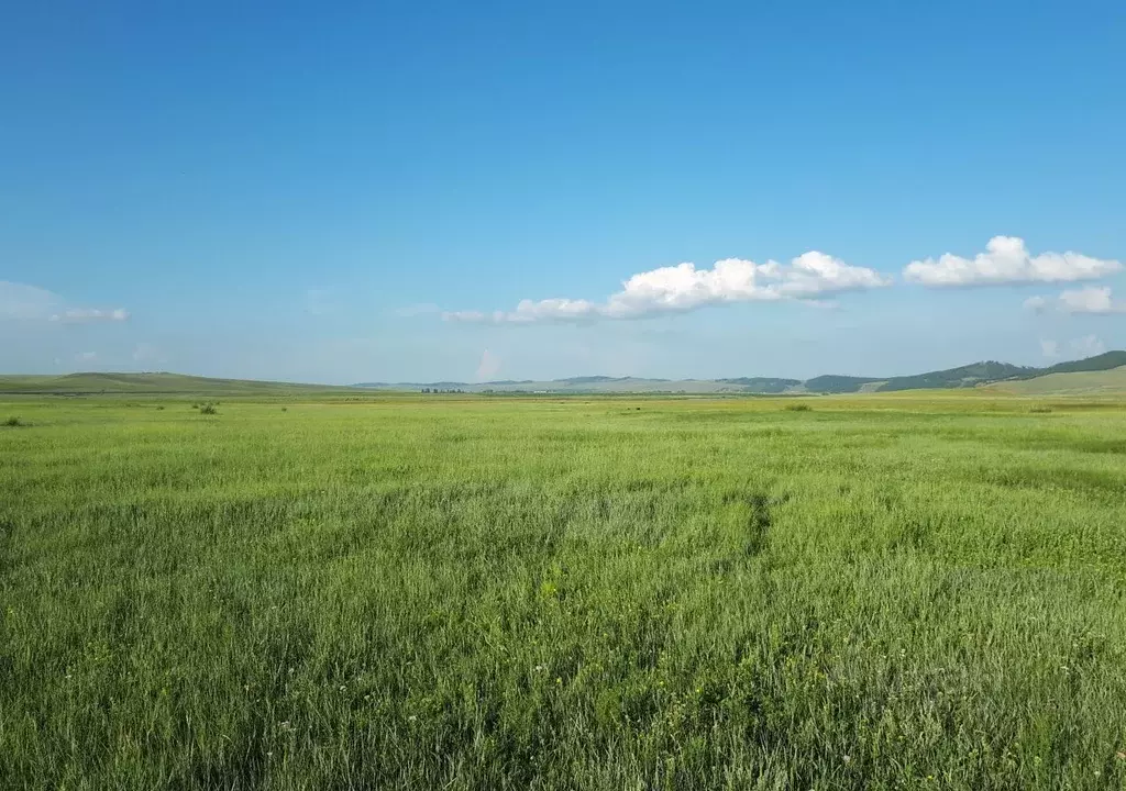 Участок в Крым, Симферопольский район, с. Доброе ул. Октябрьская ... - Фото 0