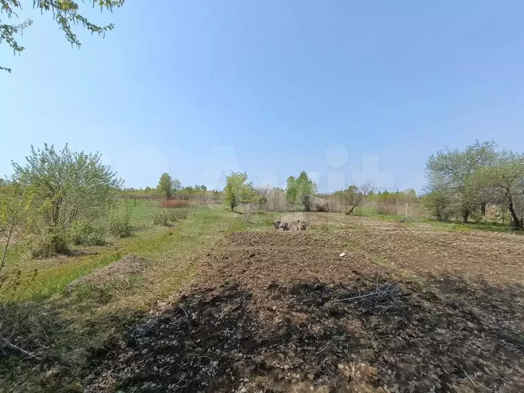 Участок 10 сот. (СНТ, ДНП) - Фото 0