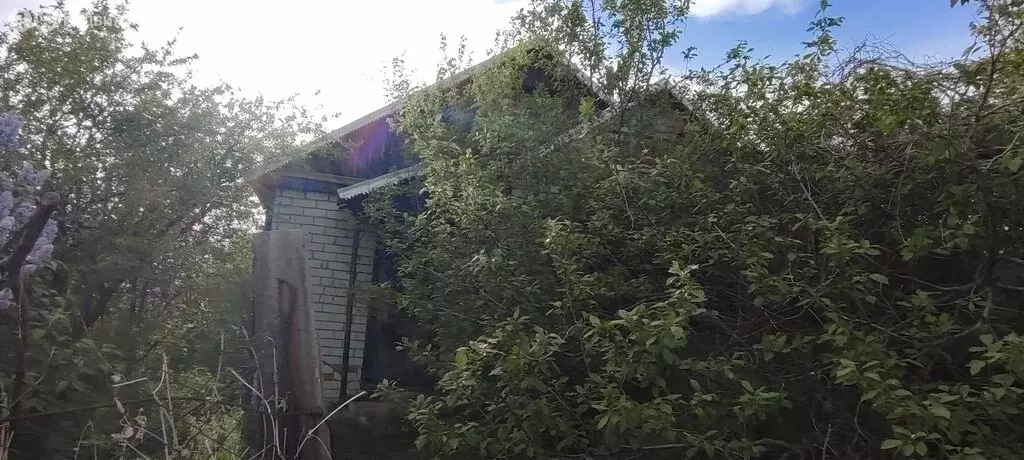 Участок в Волгоград, СНТ Восход, 17-я линия (6 м) - Фото 1