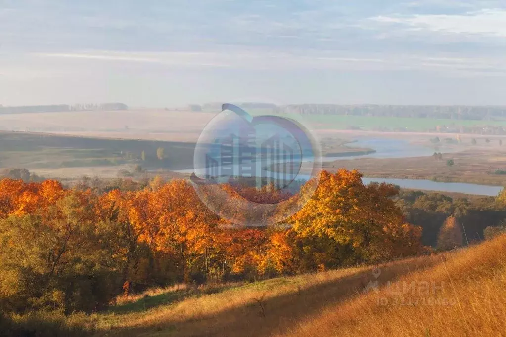 Участок в Московская область, Кашира городской округ, д. Завалье-2  ... - Фото 0