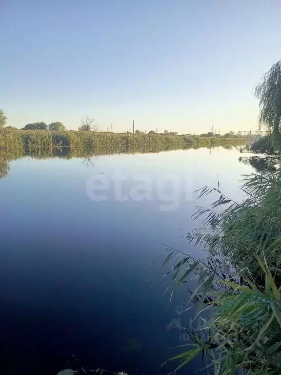 Участок в Белгородская область, Шебекино Золотой ранет дп,  (11.0 ... - Фото 1