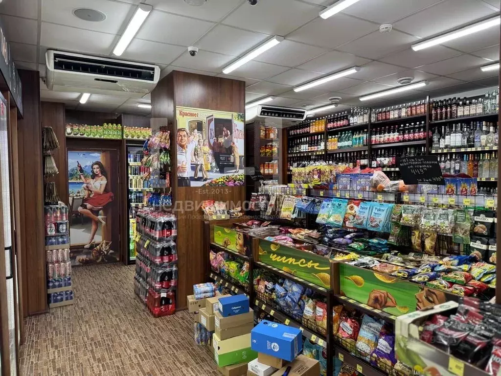 Торговая площадь в Челябинская область, Магнитогорск просп. Ленина, 33 ... - Фото 2