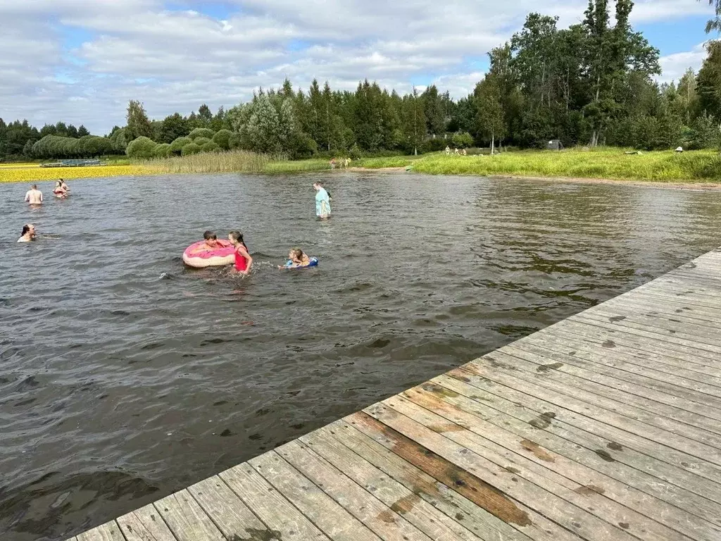 Участок в Ленинградская область, Выборгский район, Рощинское городское ... - Фото 0