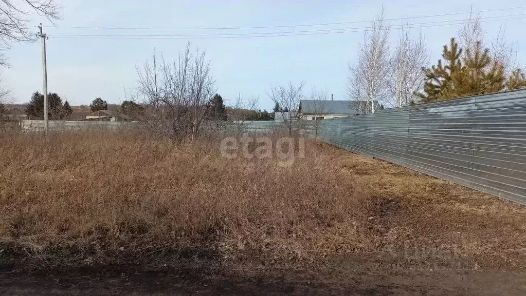 Участок в Амурская область, Серышевский муниципальный округ, с. ... - Фото 0