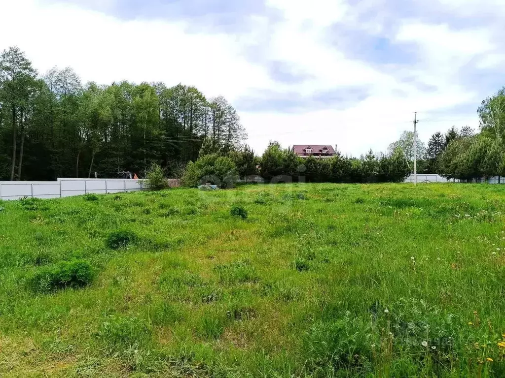 Участок в Владимирская область, Владимир Лунево мкр, ул. Ольховка, 3 ... - Фото 1