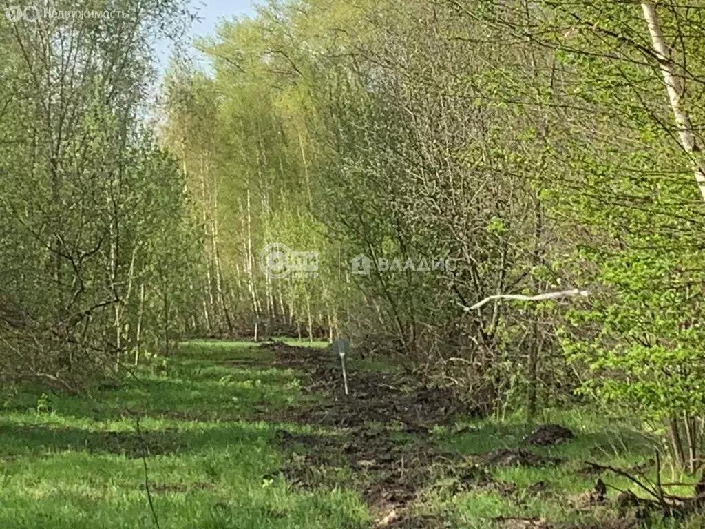 Участок в Воронеж, улица Славянова, 14 (6 м) - Фото 1