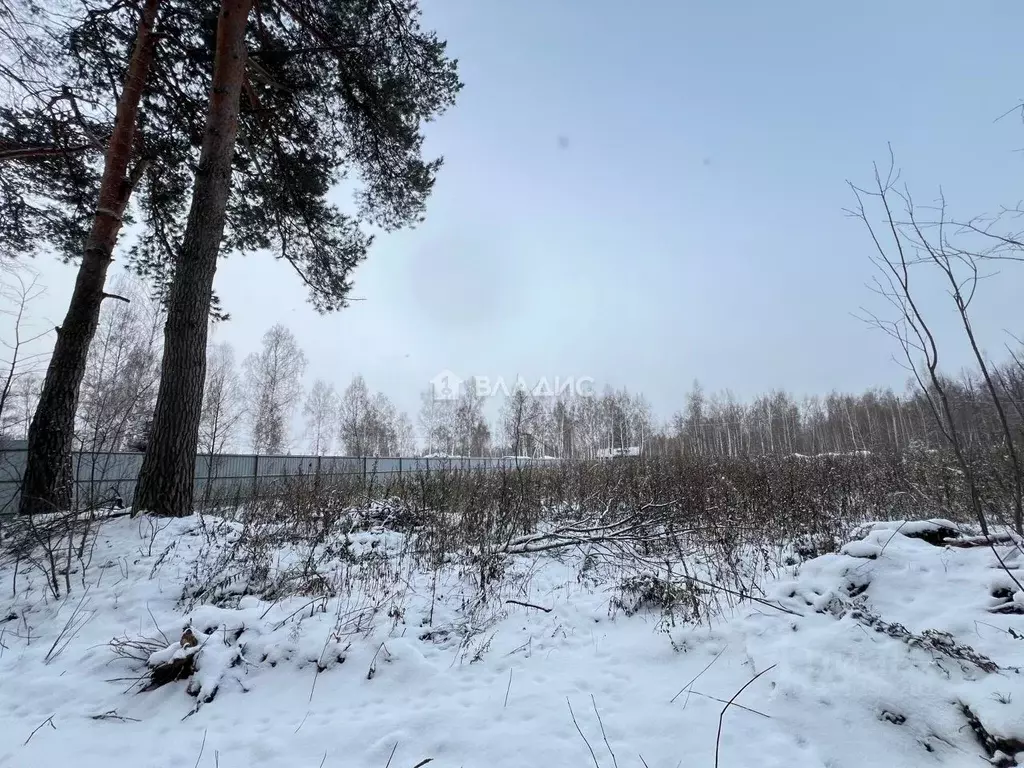 Участок в Московская область, Коломна городской округ, с. Северское  ... - Фото 1