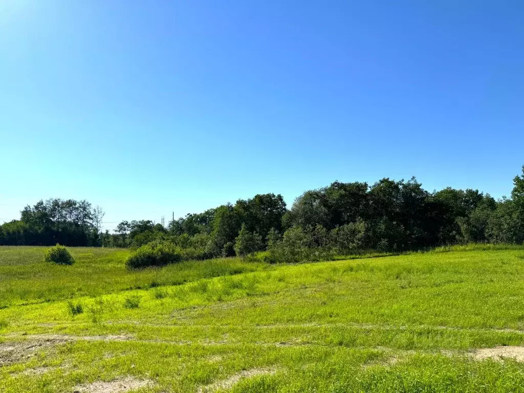 Участок, 280 сот., сельхоз (снт или днп) - Фото 1