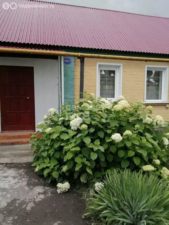 Дом в Липецкая область, Грязи (60 м) - Фото 1