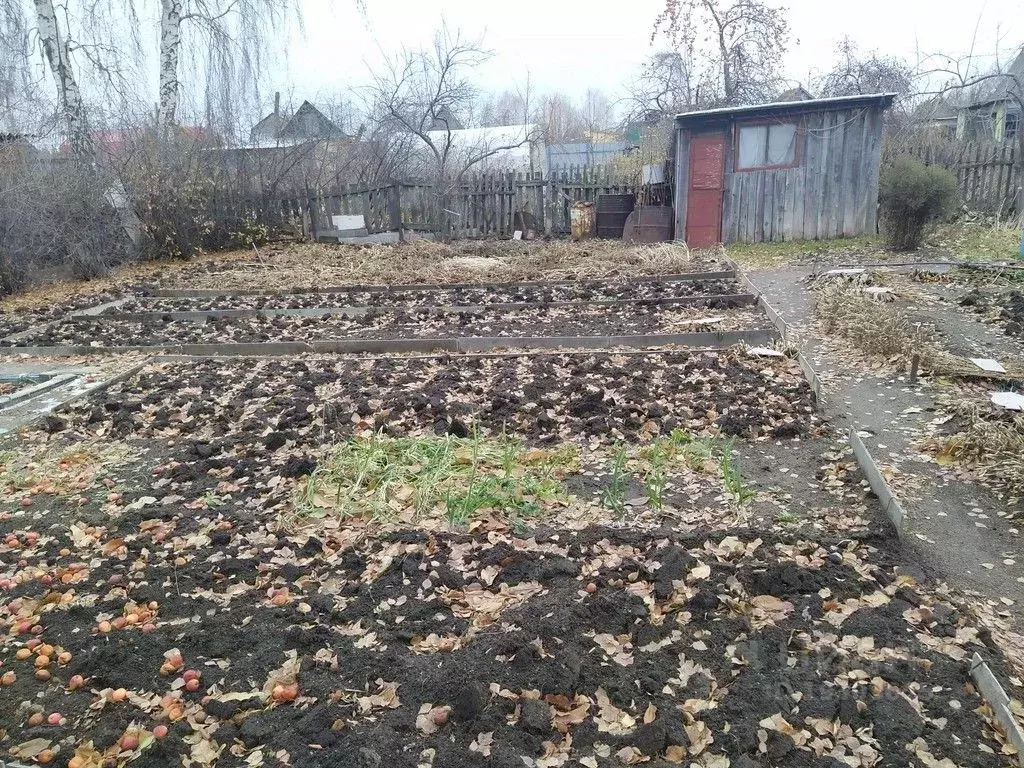 Купить Дачу В Снт Энергетик Омск