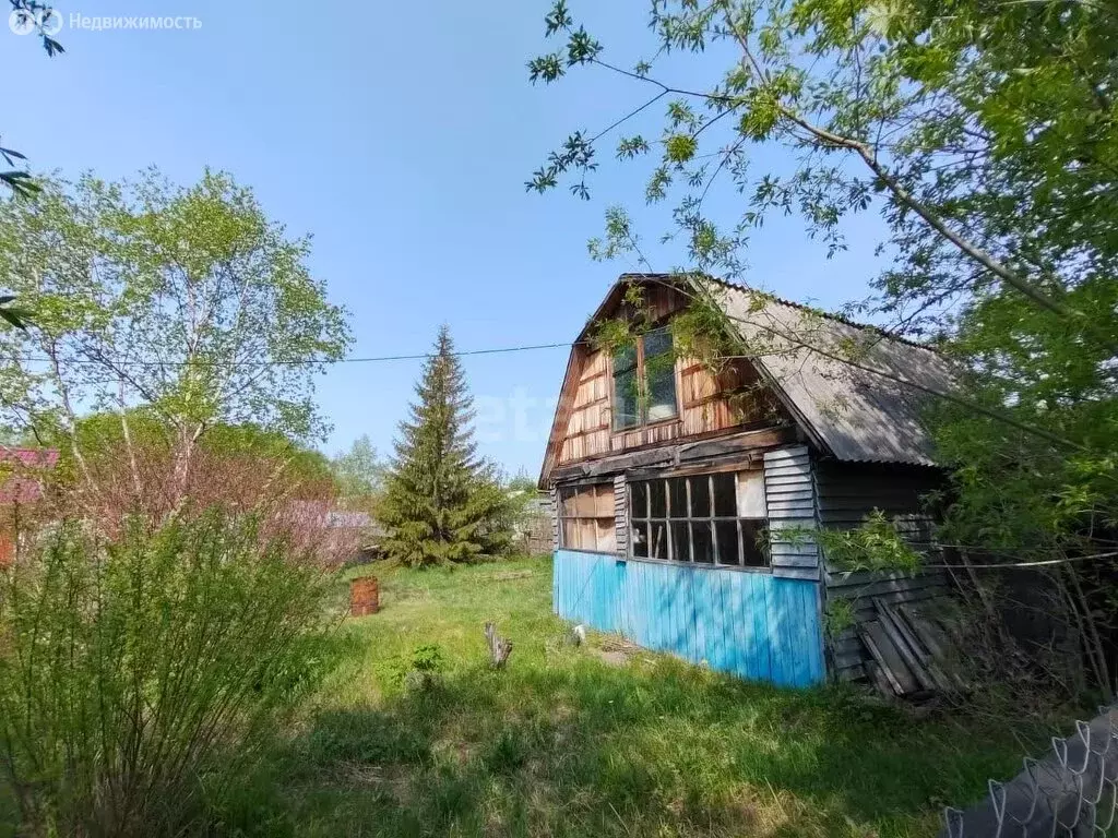 Дом в Елизовский район, СНТ Геолог (35 м) - Фото 1