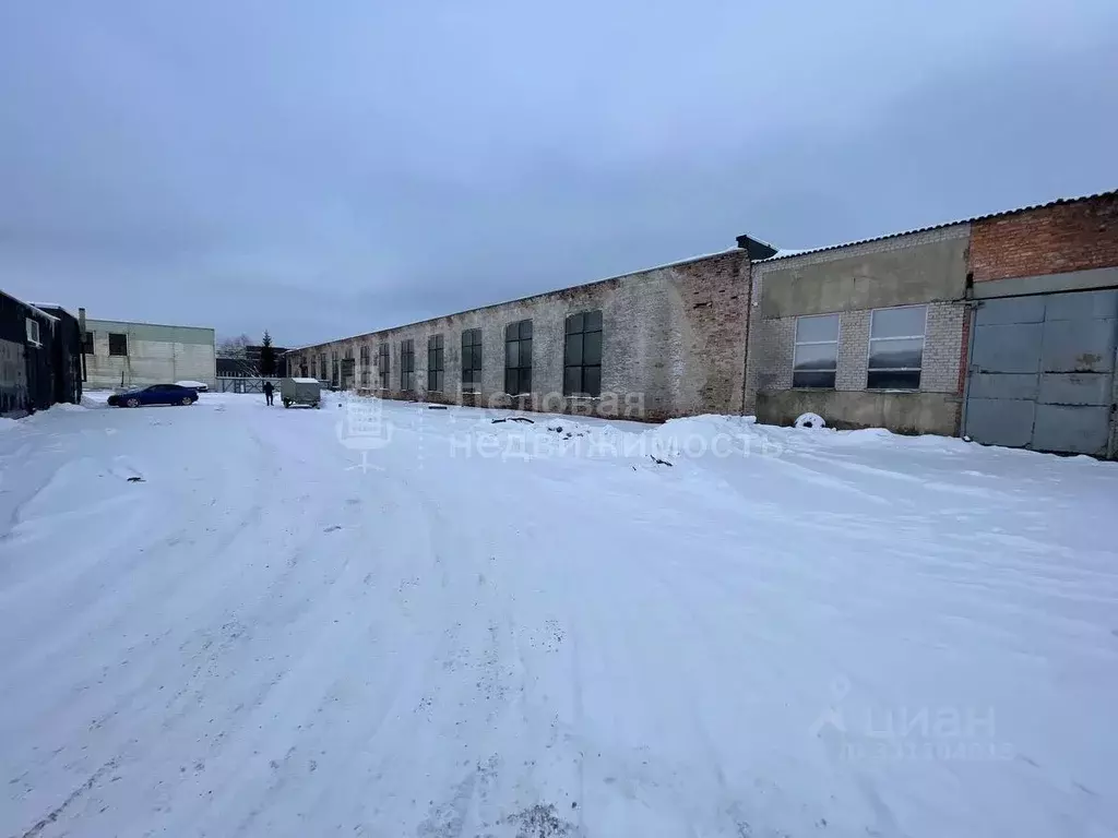 Склад в Новгородская область, Новгородский район, Панковское городское ... - Фото 2