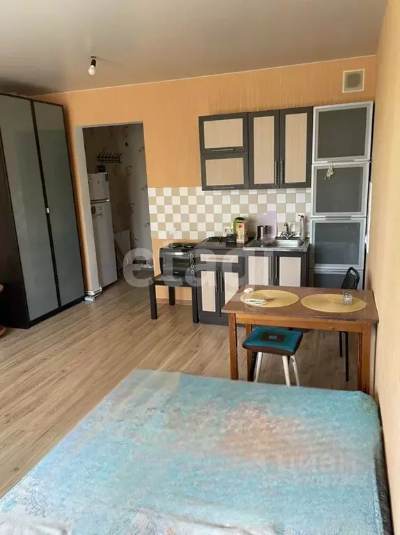 Студия Новосибирская область, Новосибирск Рябиновая ул., 10/1 (25.4 м) - Фото 1