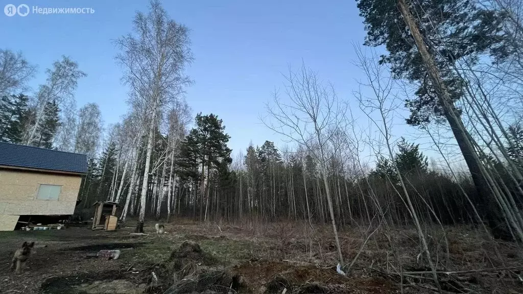 Участок в Иркутский муниципальный округ, деревня Новолисиха, посёлок ... - Фото 1