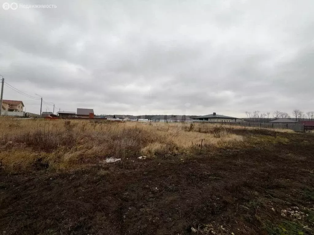 Участок в Республика Мордовия, городской округ Саранск, рабочий ... - Фото 2