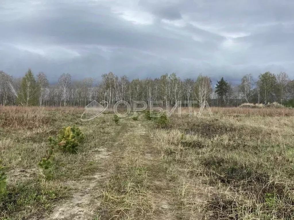 Участок в Тюменская область, Тюменский район, с. Каменка  (12.7 сот.) - Фото 0