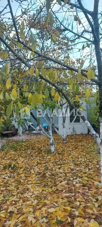 Дом в Воронежская область, Воронеж ул. Октябрьская, 318 (25 м) - Фото 1