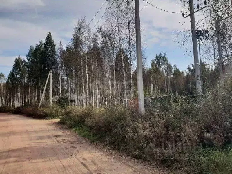 Участок в Ленинградская область, Всеволожск Всеволожский просп. (10.0 ... - Фото 0