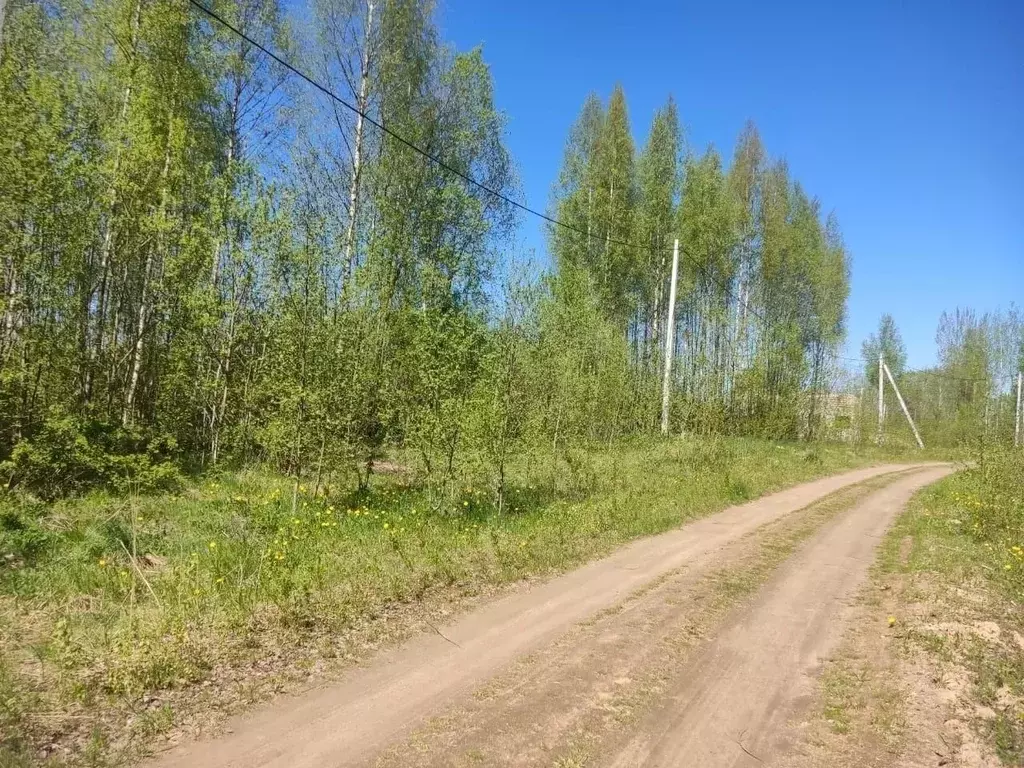 Участок в Ленинградская область, Кингисепп ул. Дачная (18.4 сот.) - Фото 1
