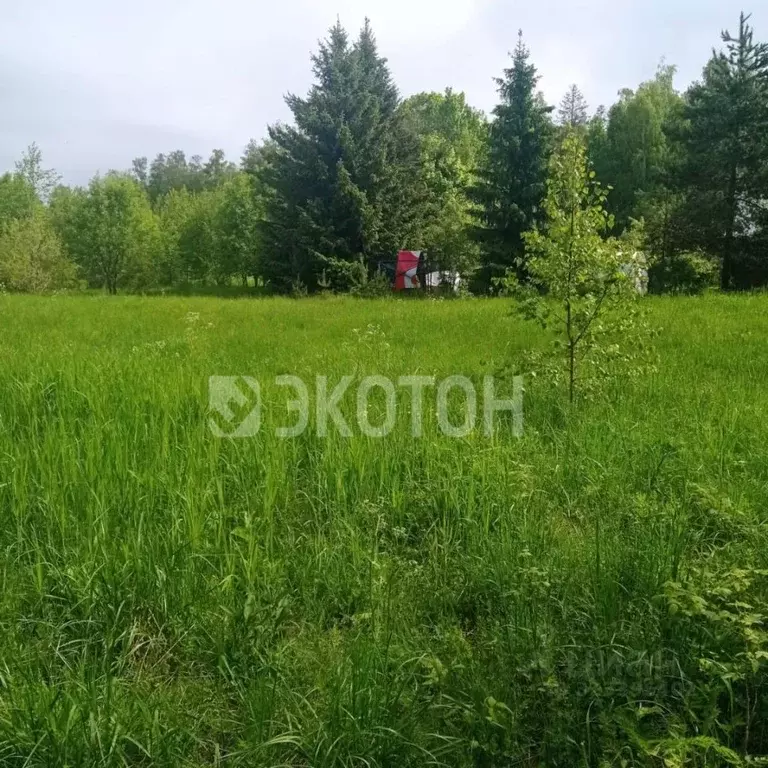 Участок в Ленинградская область, Выборгский район, Полянское с/пос, ... - Фото 1