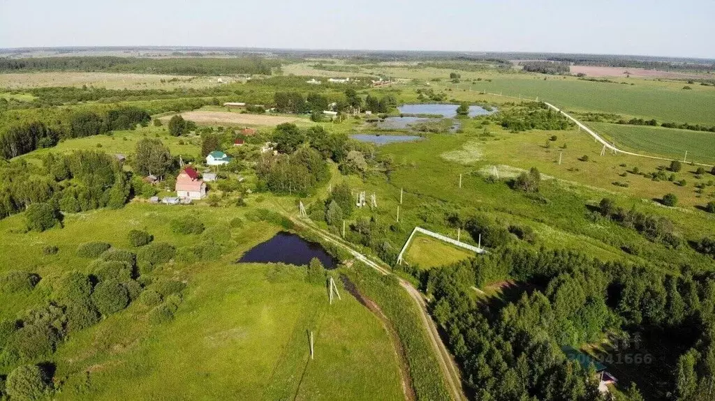 Участок в Тульская область, Заокский район, Демидовское с/пос, д. ... - Фото 2
