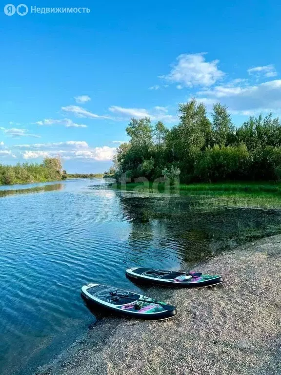 Участок в Новосибирская область, рабочий посёлок Колывань (8000 м) - Фото 0