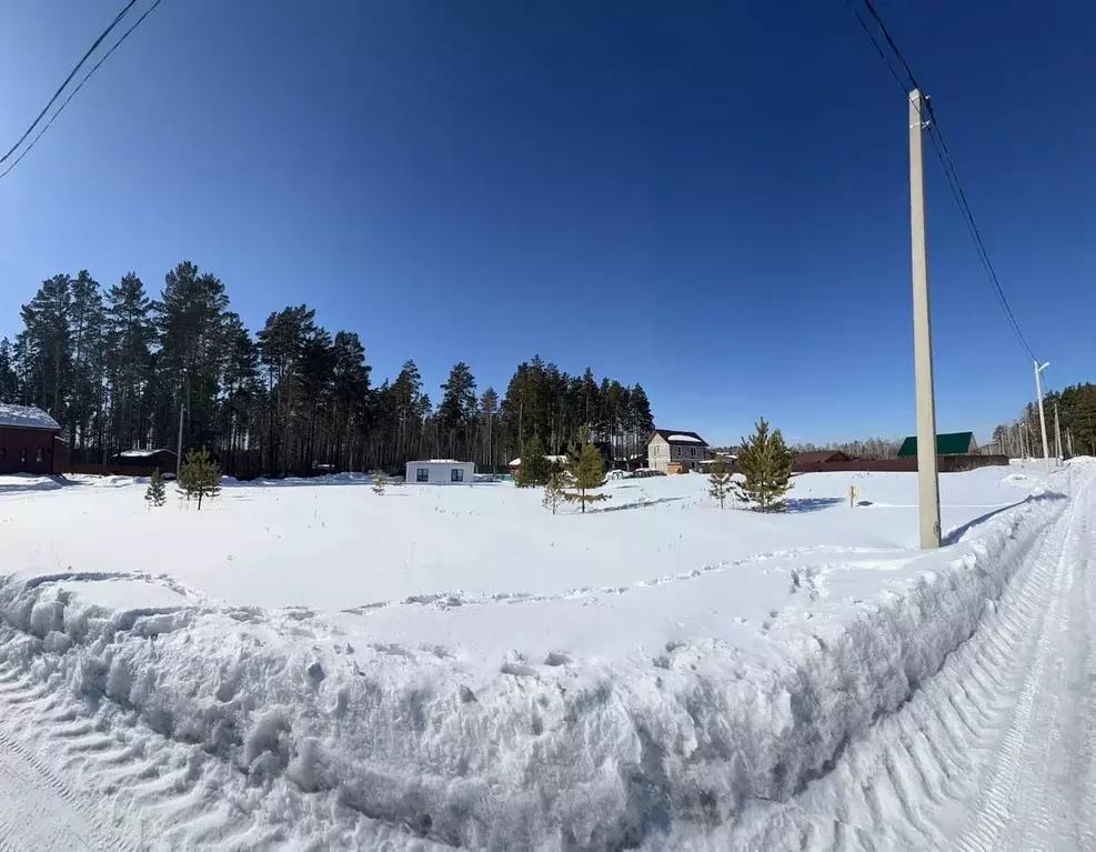 Участок в Новосибирская область, Новосибирский район, Кубовинский ... - Фото 1