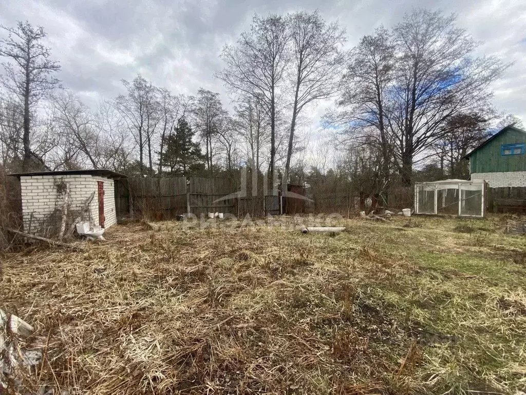 Дом в Брянская область, Брянск Черемушки садоводческое объединение, ... - Фото 1