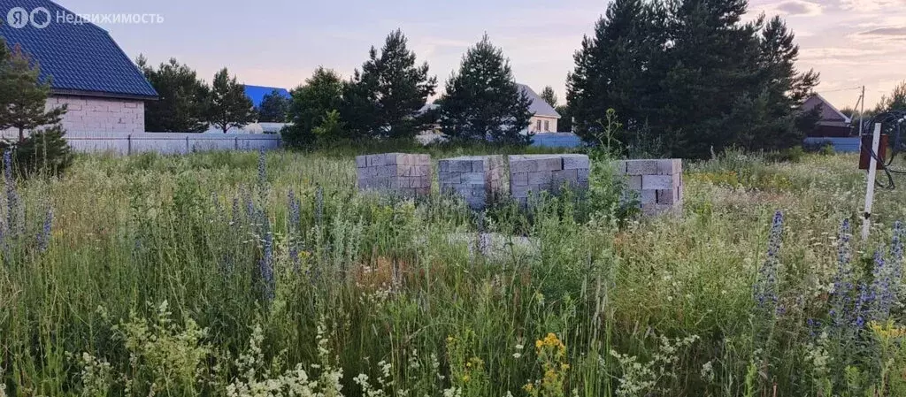 Участок в село Кумово, Буйская улица, 27 (12 м) - Фото 2