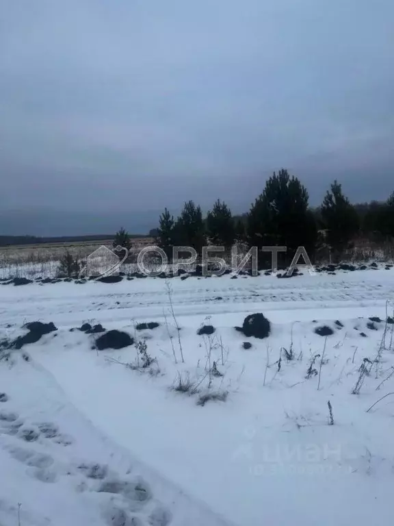 Участок в Тюменская область, Тюменский район, с. Горьковка Сибирская ... - Фото 1