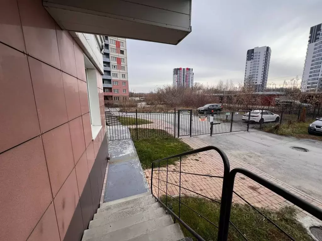 Помещение свободного назначения в Новосибирская область, Новосибирск ... - Фото 1