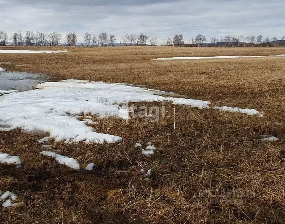 Участок в Хабаровский край, Хабаровск Даурия СНТ,  (6.3 сот.) - Фото 1