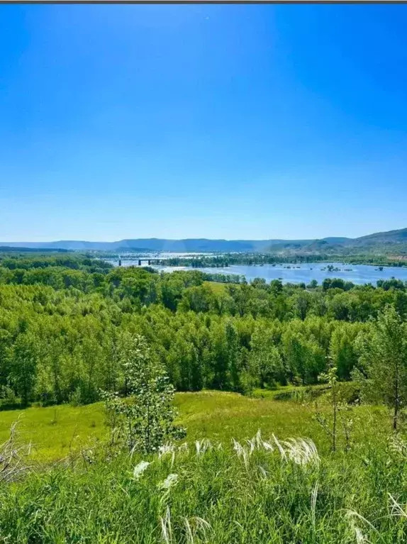 Участок в Самарская область, Красноярский район, Светлое Поле с/пос, ... - Фото 2