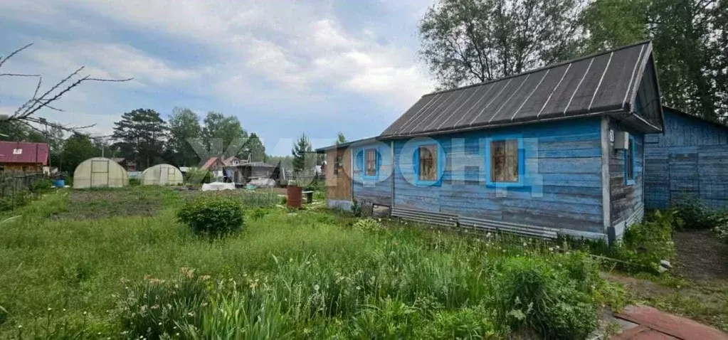 Дом в Новосибирская область, Новосибирск Олимпийское садовое ... - Фото 1