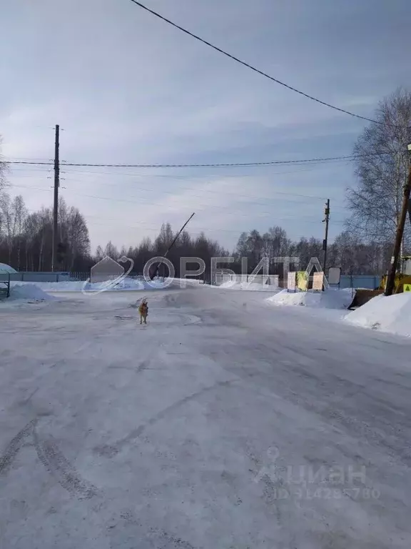 Дом в Тюменская область, Тюмень ул. Вишневая (37 м) - Фото 1