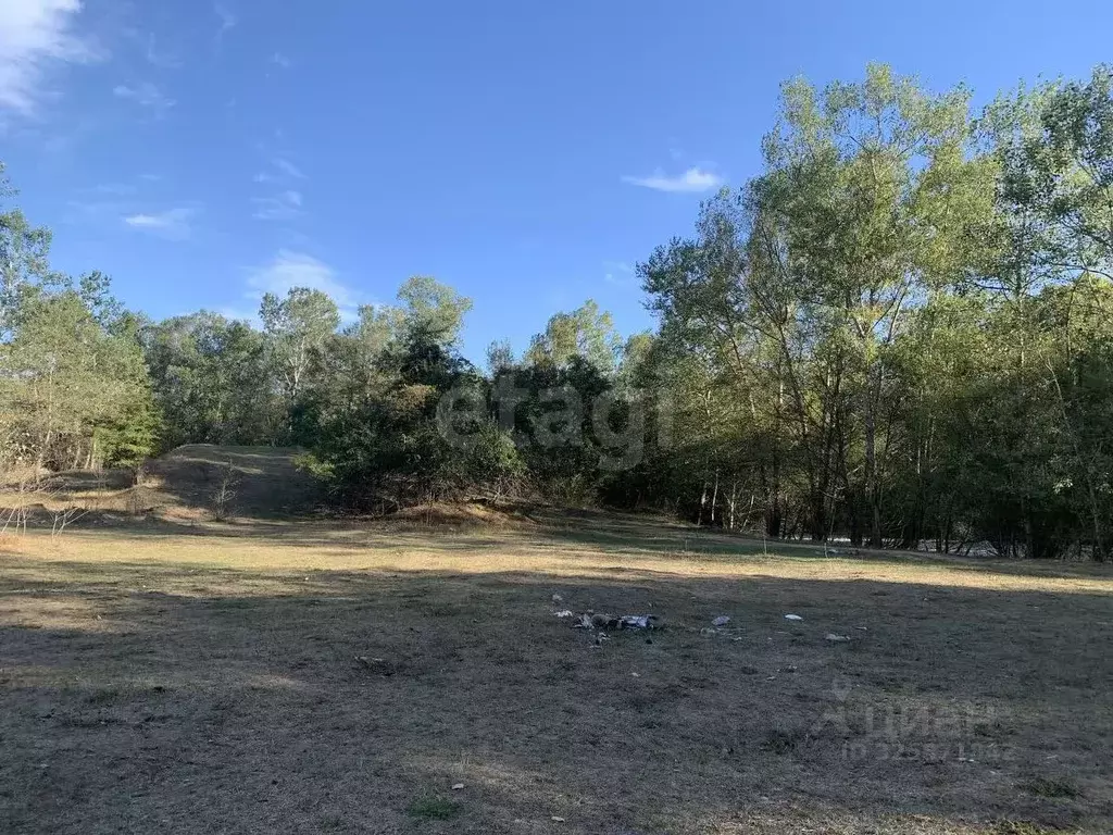 Участок в Адыгея, Майкопский район, Победенское с/пос, пос. Совхозный ... - Фото 1