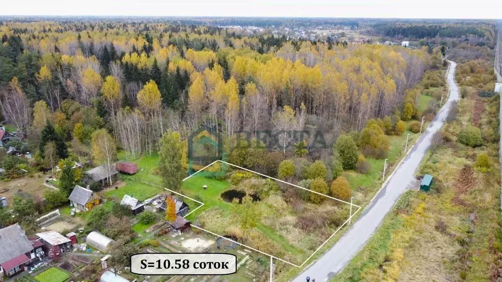 Участок в Ленинградская область, Тосненский район, Форносовское ... - Фото 2