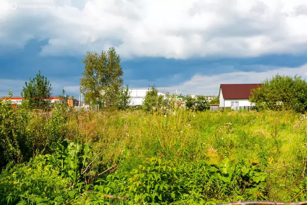 Участок в Новосибирский район, село Криводановка (10 м) - Фото 1