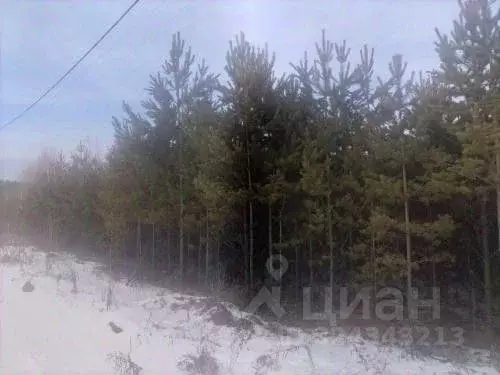 Участок в Иркутская область, Иркутский муниципальный округ, с. ... - Фото 2