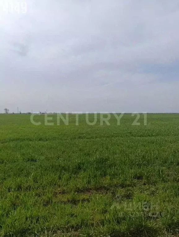 Участок в Крым, Сакский район, Штормовское с/пос, с. Приветное  (200.0 ... - Фото 2