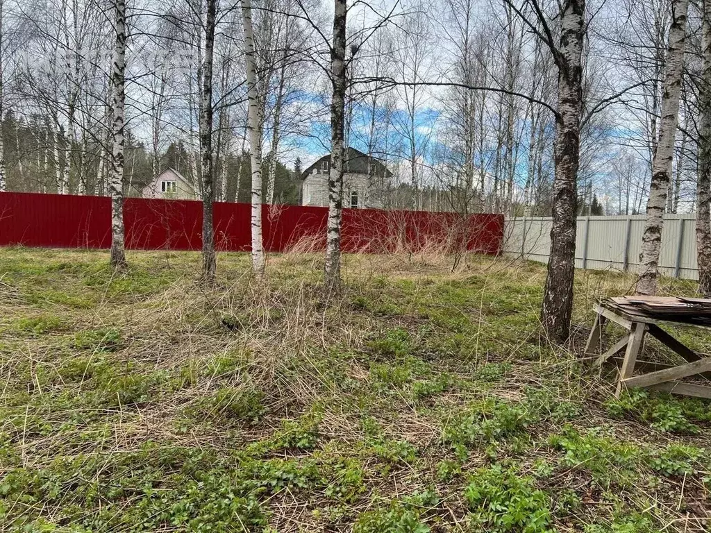 Участок в Москва Мачихино СНТ, 321 (6.0 сот.) - Фото 1