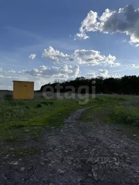 Участок в Курская область, Курский район, Моковский сельсовет, д. ... - Фото 1