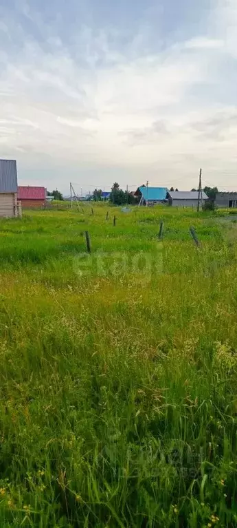 Участок в Алтайский край, Советский район, с. Платово Молодежная ул. ... - Фото 0